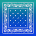 Aqua Blue Bandana