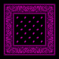 Black and Purple bandana
