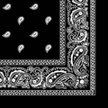 More detailed view of the black paisley bandana.