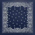 Dallas Cowboy Bandana