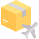 A card box with a plane next to it to indicate delivery.