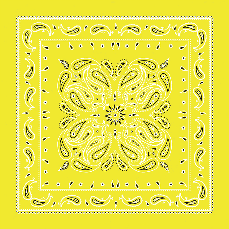 Gold and White Bandana