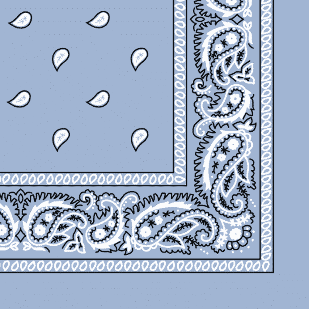 More detailed view of the light blue bandana.