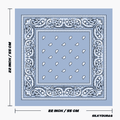 Size of the light blue bandana.