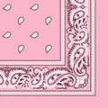 More detailed view of the light pink bandana.