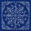 Native american bandana.