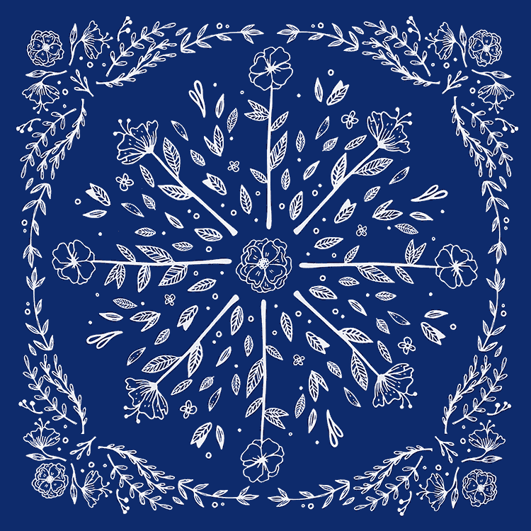 Native american bandana.