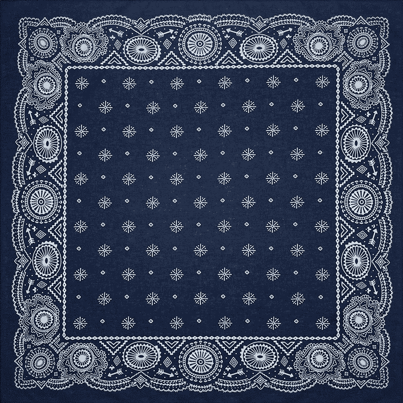 Northwestern bandana