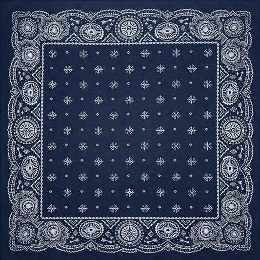 Northwestern bandana