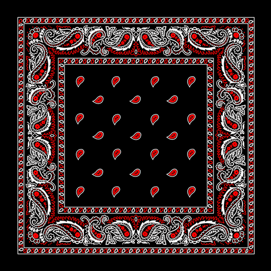 Outlaw Bandana