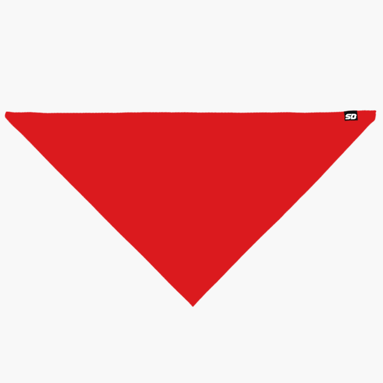 Plain Red Bandana
