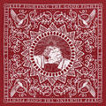 Red Western Bandana