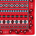 Corner of the southwestern bandana.
