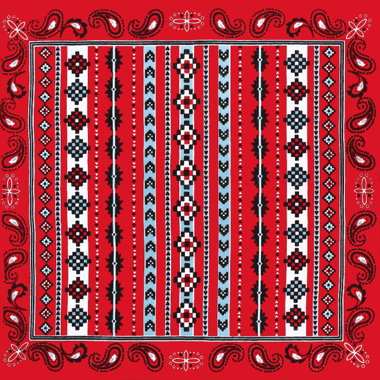 Southwestern bandana
