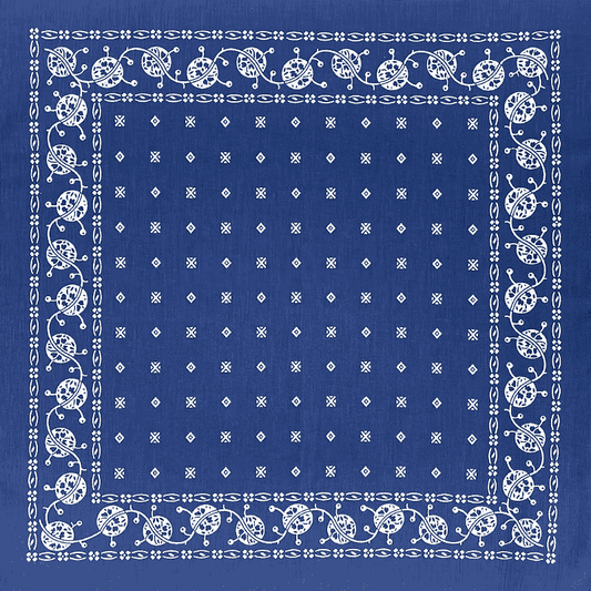 Texas Bandana