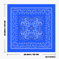 Size of the tupac blue bandana.