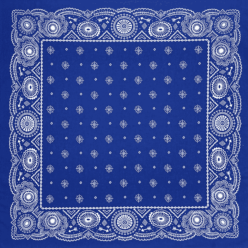 Western Paisley Bandana