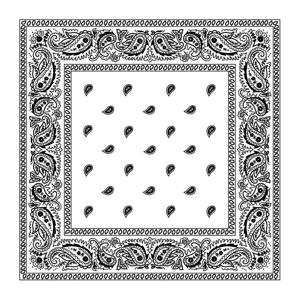 White paisley bandana