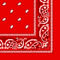 More detailed view of the blood bandana.