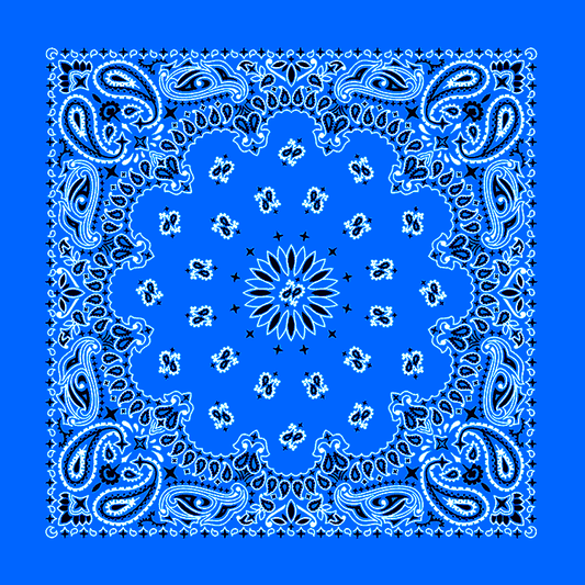 20 Pcs Assorted Bandanas Paisley Cowboy Polyester Headbands 22x22 inch 20 Pcs Assorted Bandanas Paisley Cowboy Polyester Headbands 22x22 inch