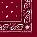 More detailed view of the burgundy bandana.