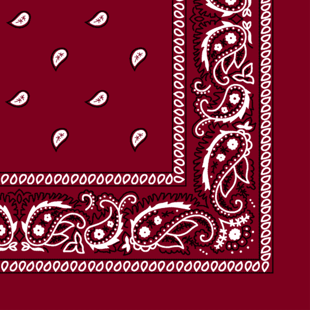 More detailed view of the burgundy bandana.