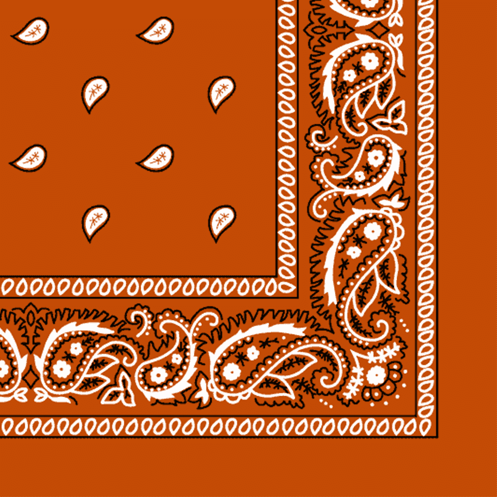 Burnt Orange Bandana