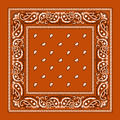 Burnt orange bandana