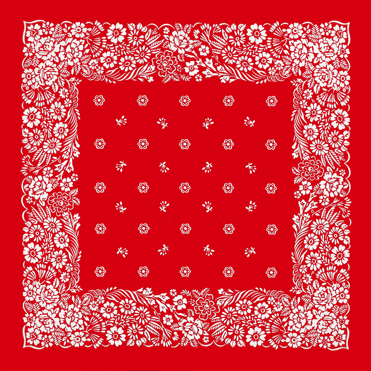 Cotton Floral Bandana