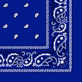 More detailed view of the crip bandana.