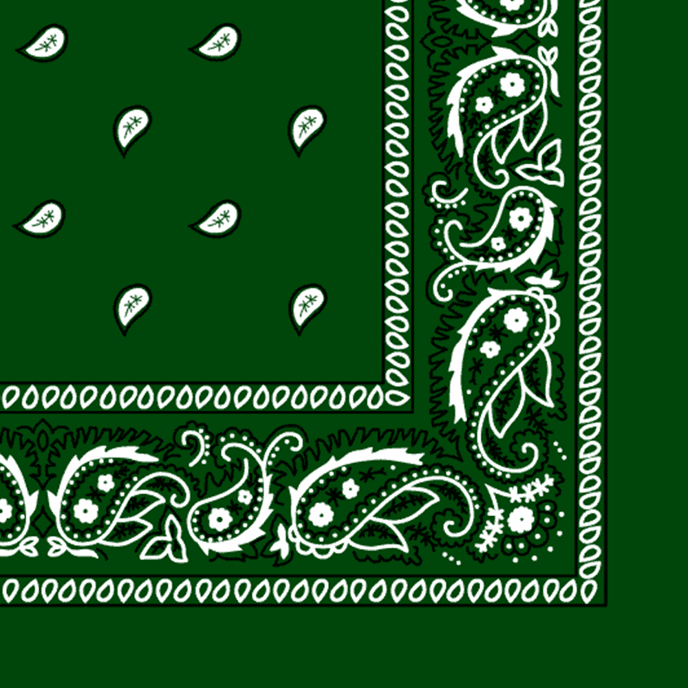 More detailed view of the dark green bandana.