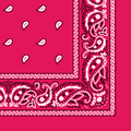 More detailed view of the hot pink bandana.