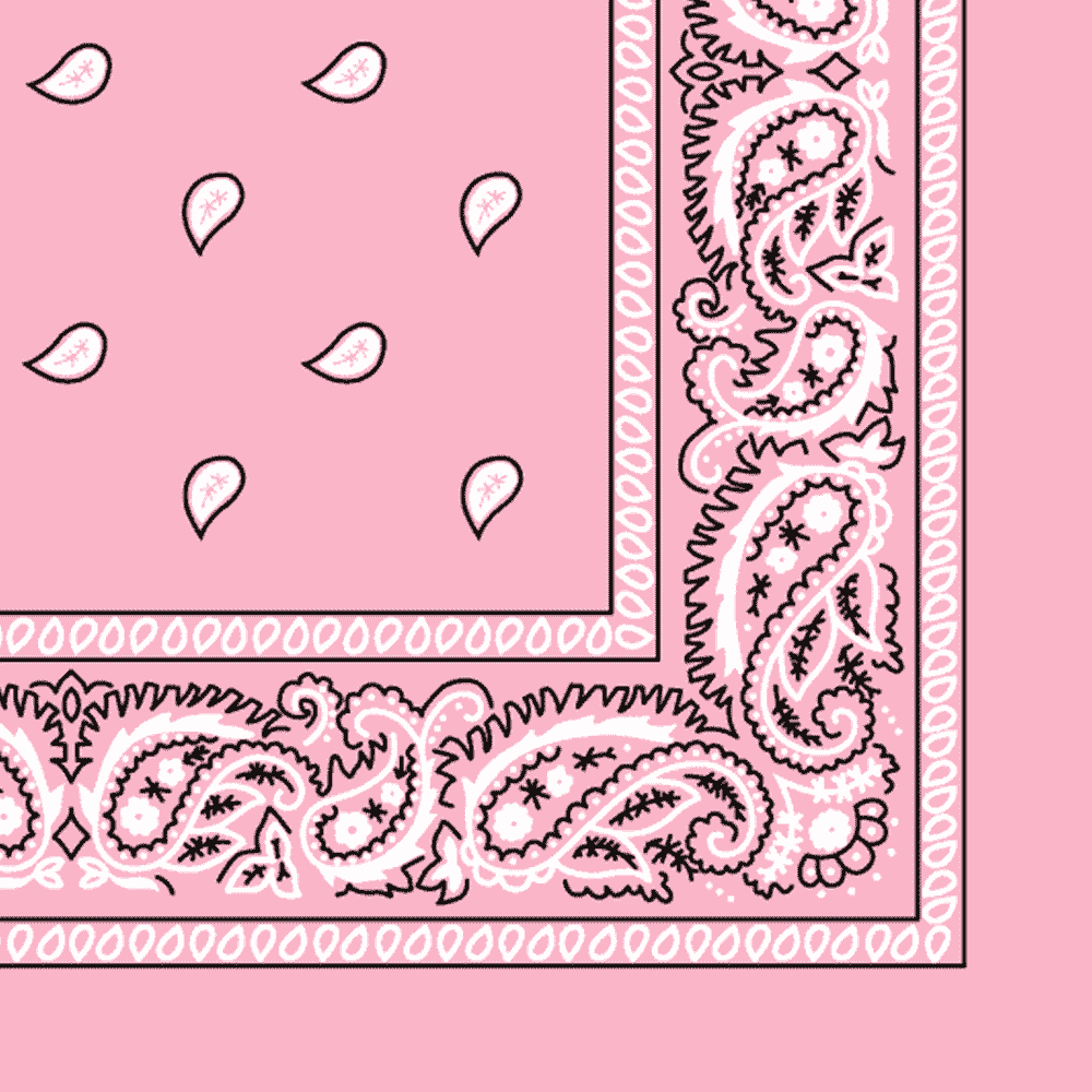More detailed view of the light pink bandana.