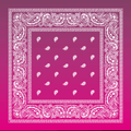 Magenta Bandana