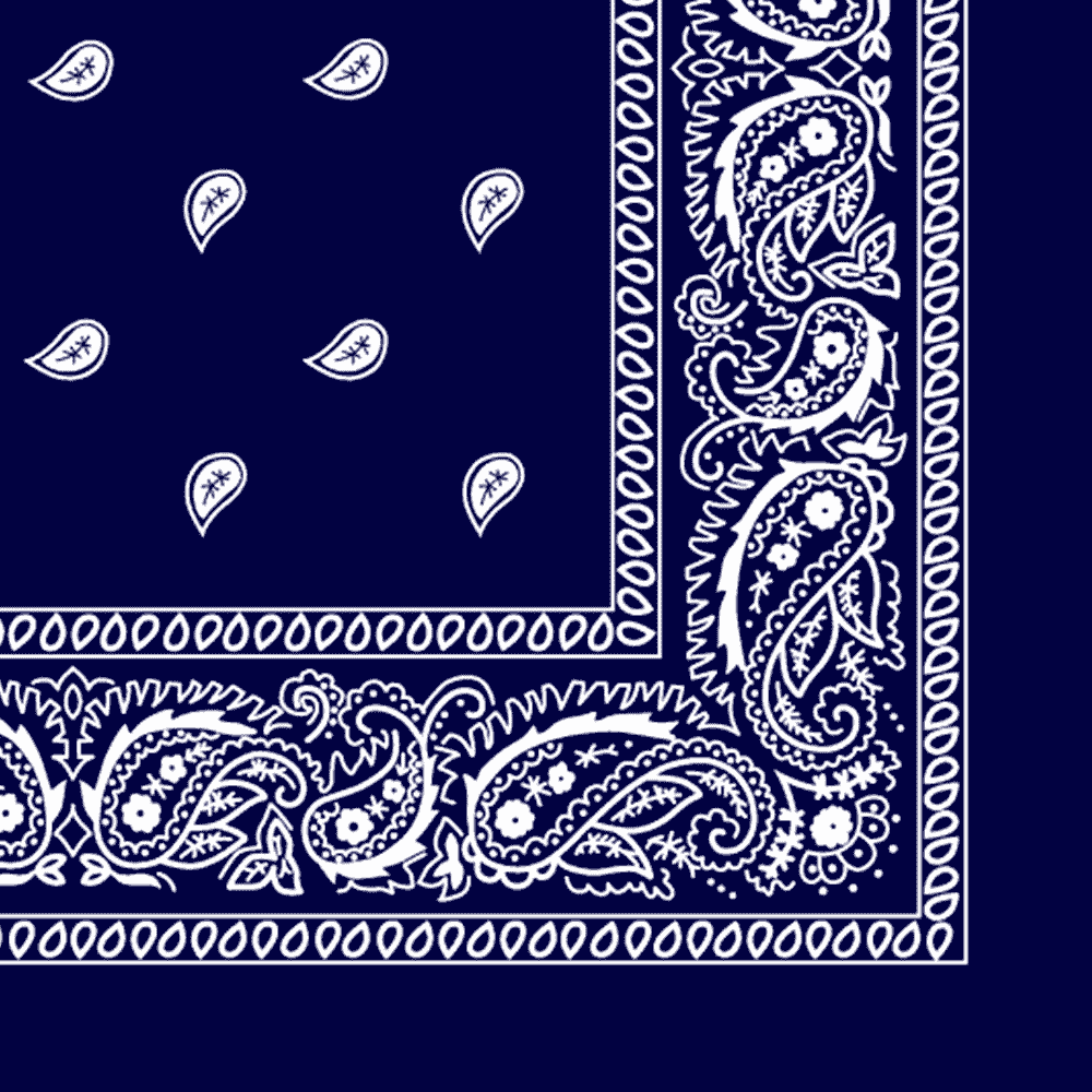 More detailed view of the navy blue bandana.