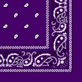 More detailed view of the purple bandana gang.