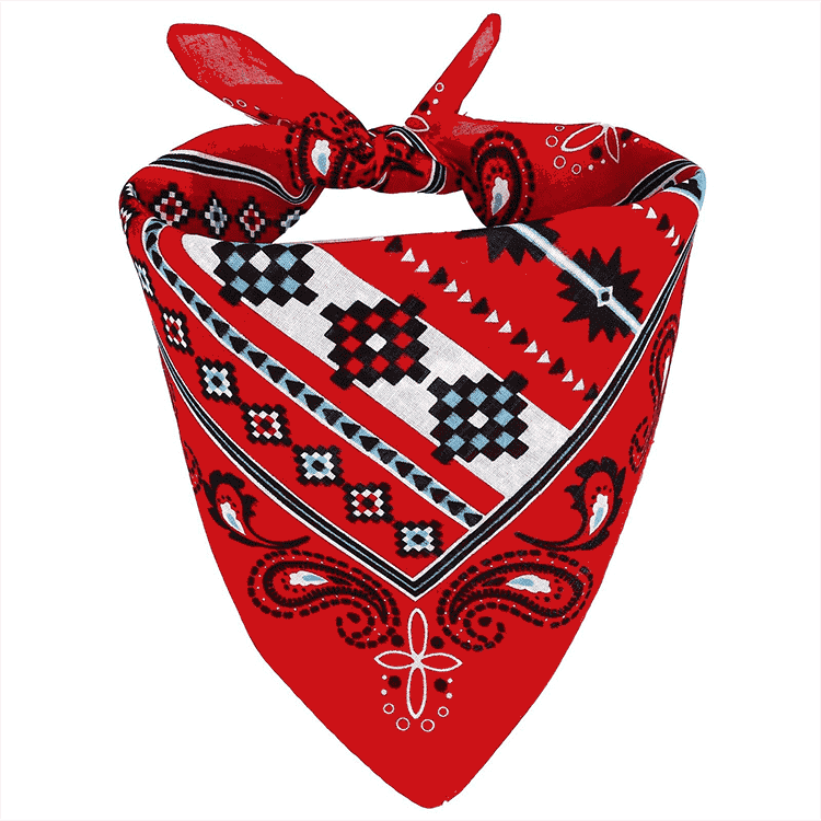 More detailed view of the southwestern bandana.