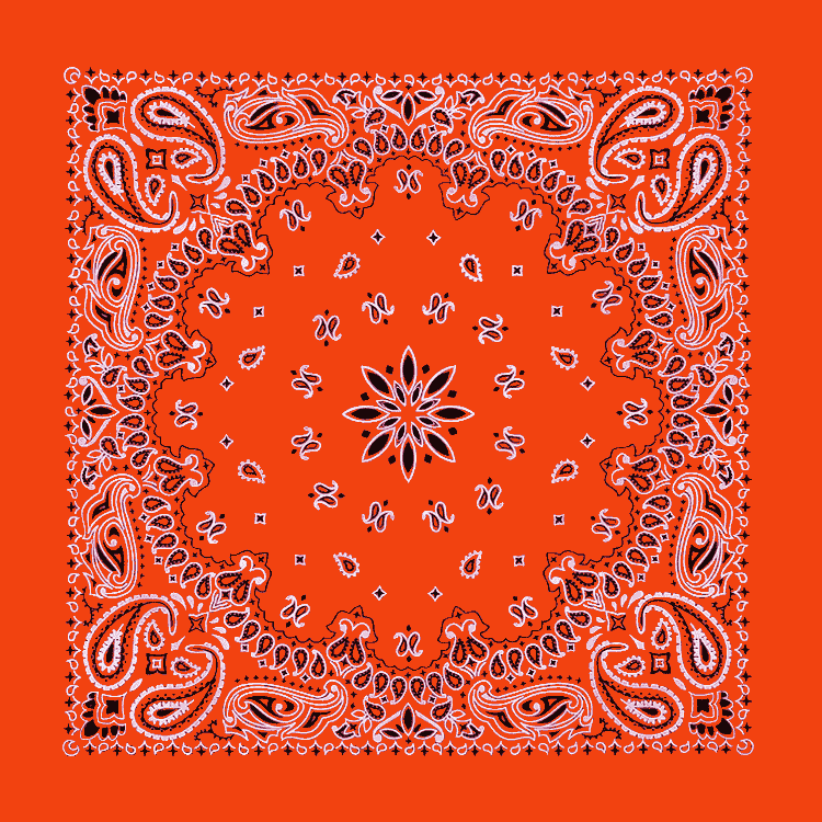 Terracota Bandana