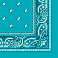 More detailed view of the turquoise bandana.