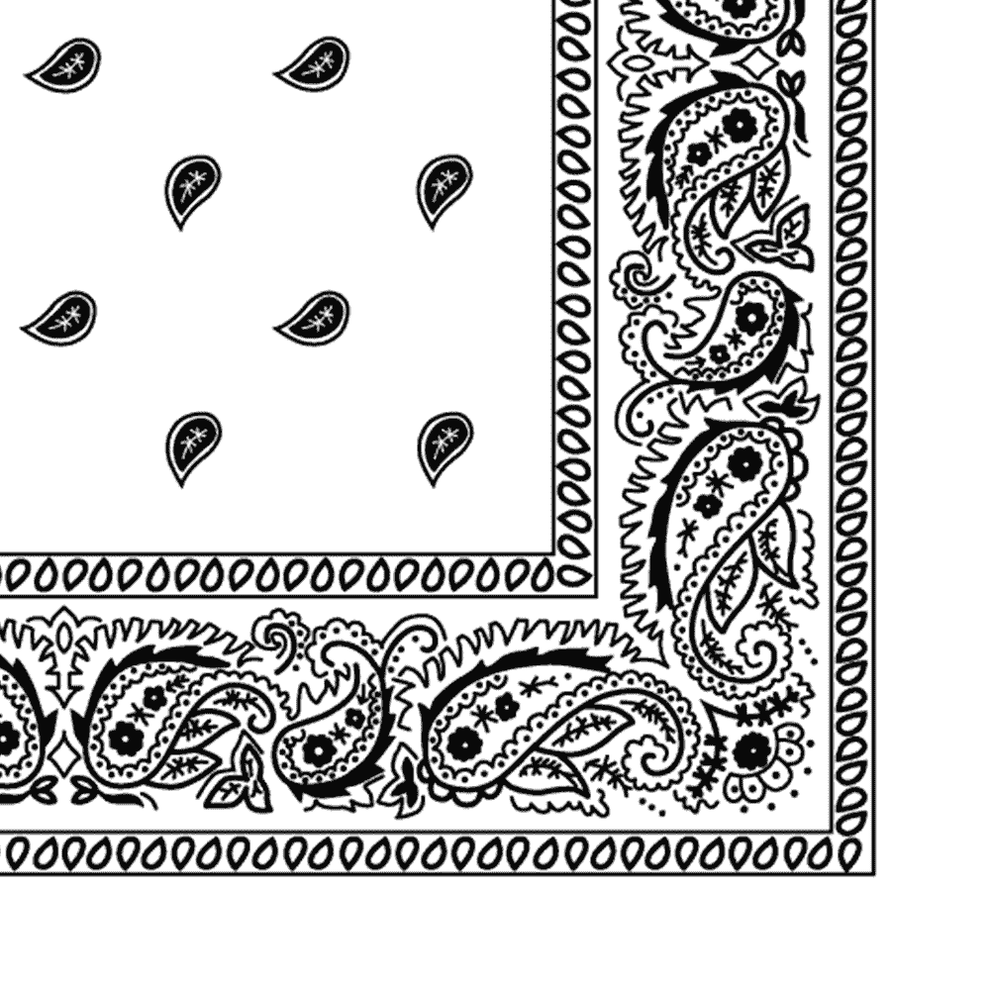 Witte bandana paisley-hoofd/halsdoek Witte bandana paisley-hoofd/halsdoek